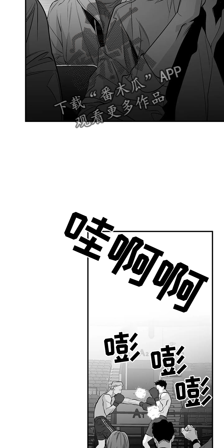 拳击手漫画,第226话2图