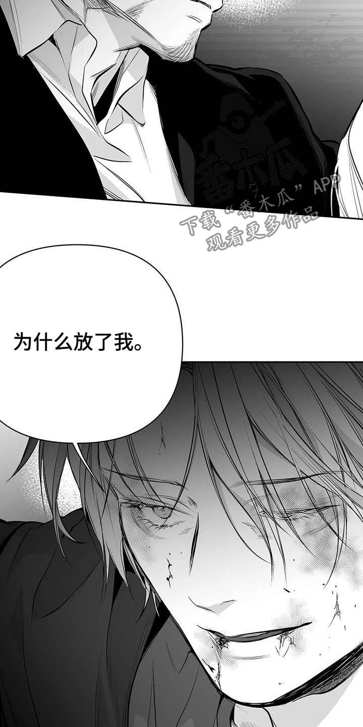 拳击手漫画,第148话1图