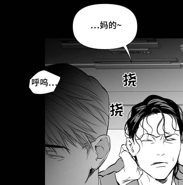 拳击手漫画,第141话1图