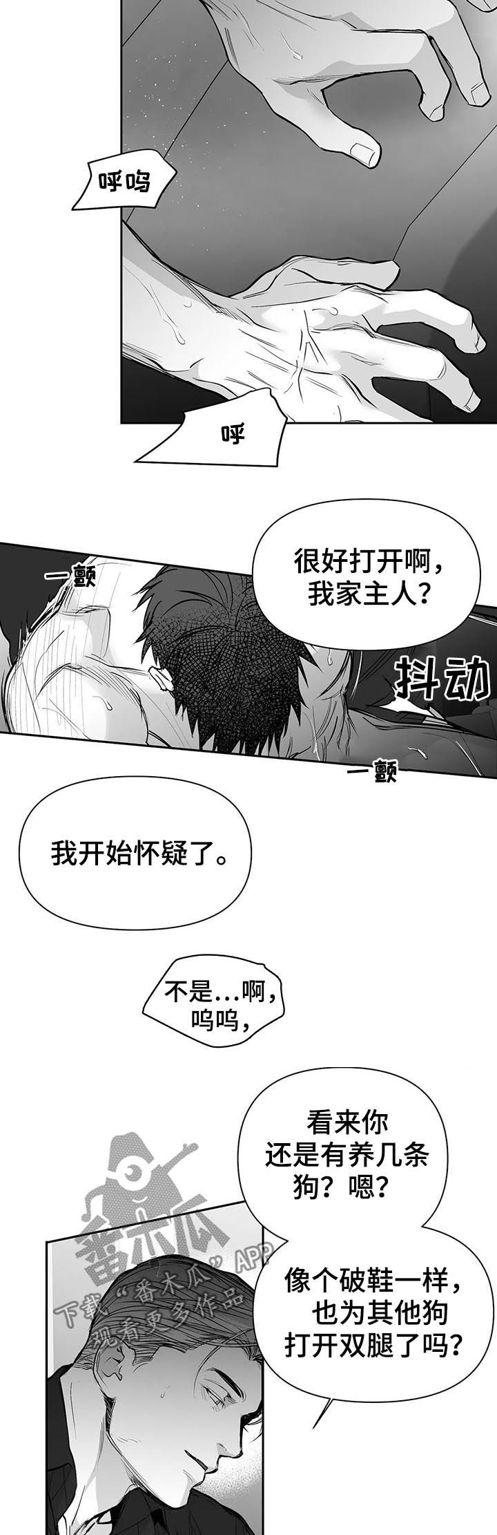 拳击手漫画,第111话1图