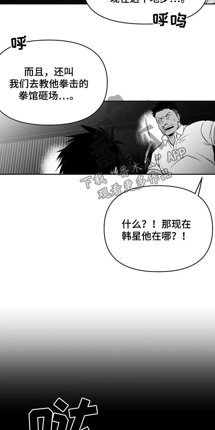 拳击手漫画,第165话1图