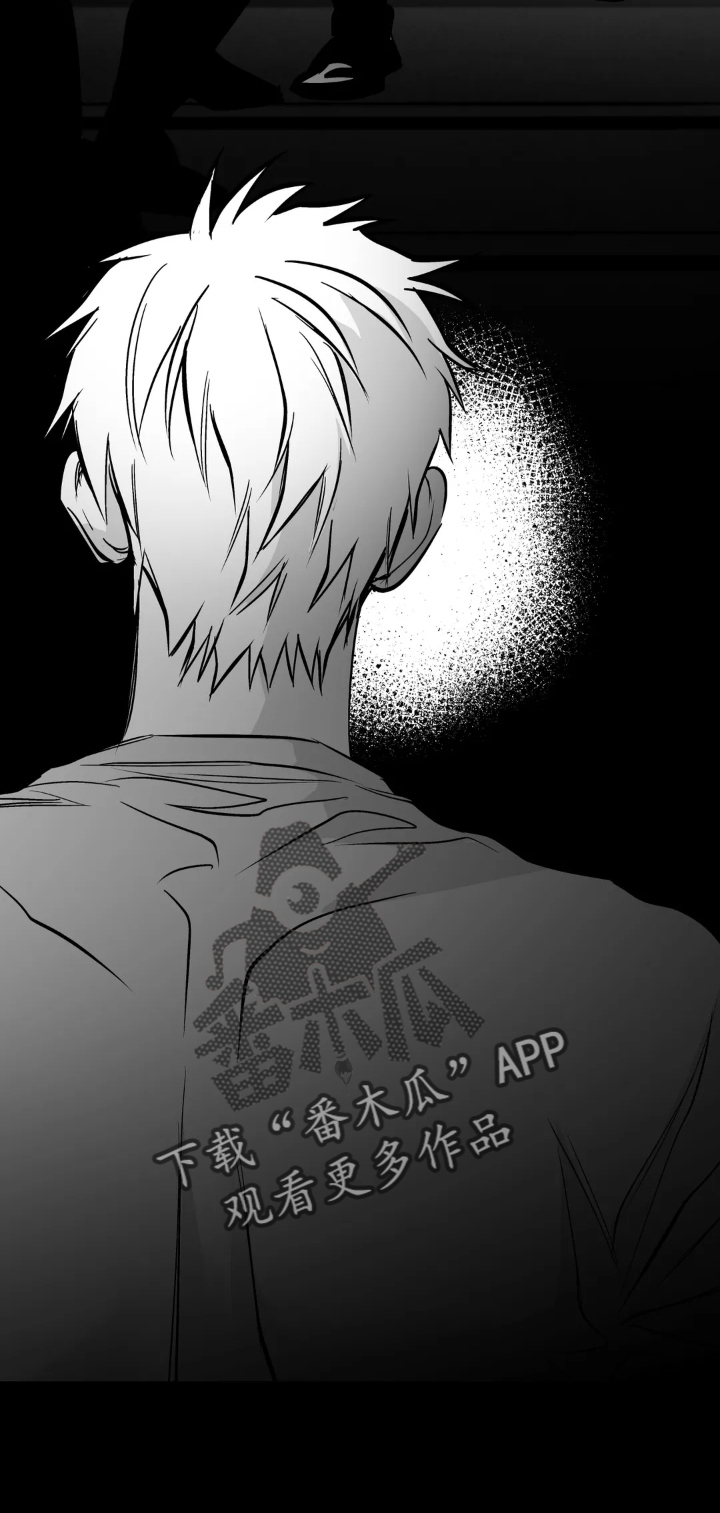拳击手漫画,第239话2图