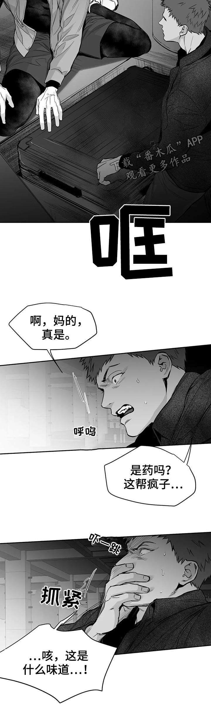 拳击手漫画,第116话2图