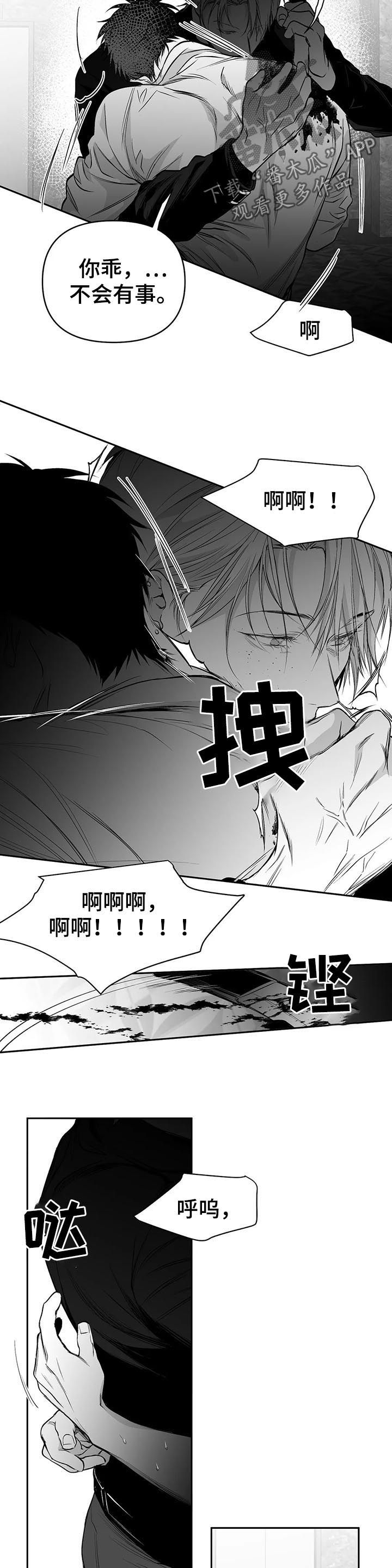 拳击手漫画,第87话2图