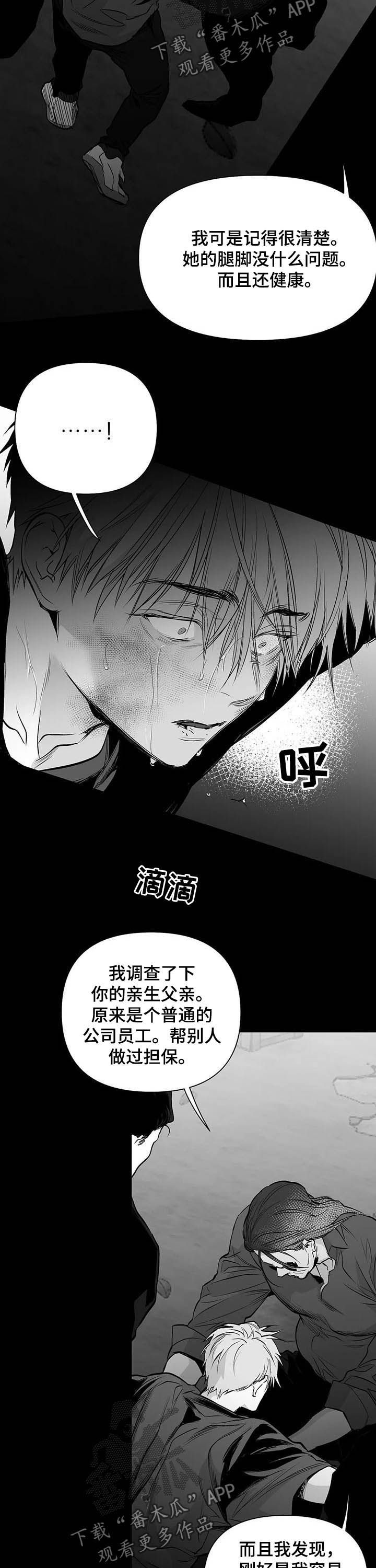 拳击手漫画,第137话1图