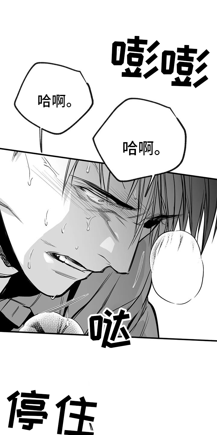 拳击手漫画,第237话1图