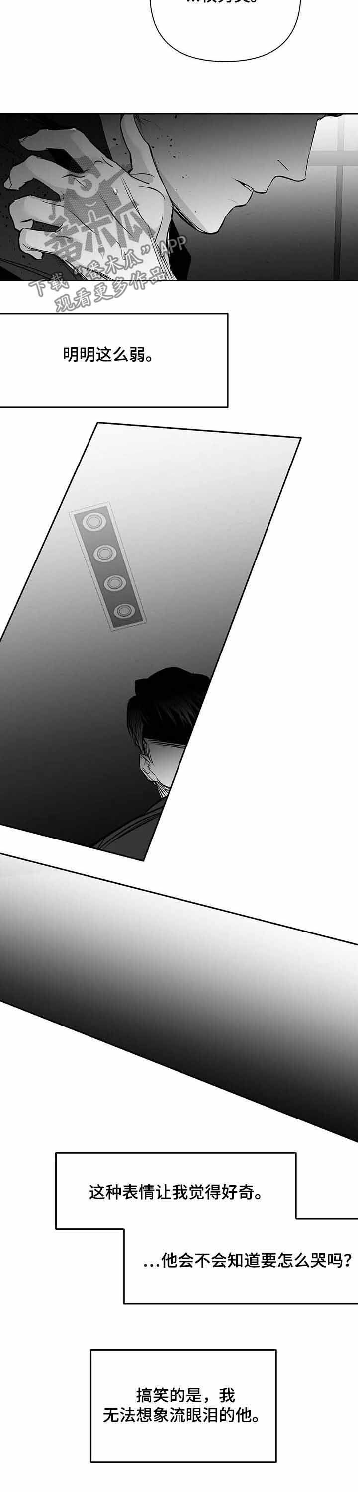 拳击手漫画,第144话1图