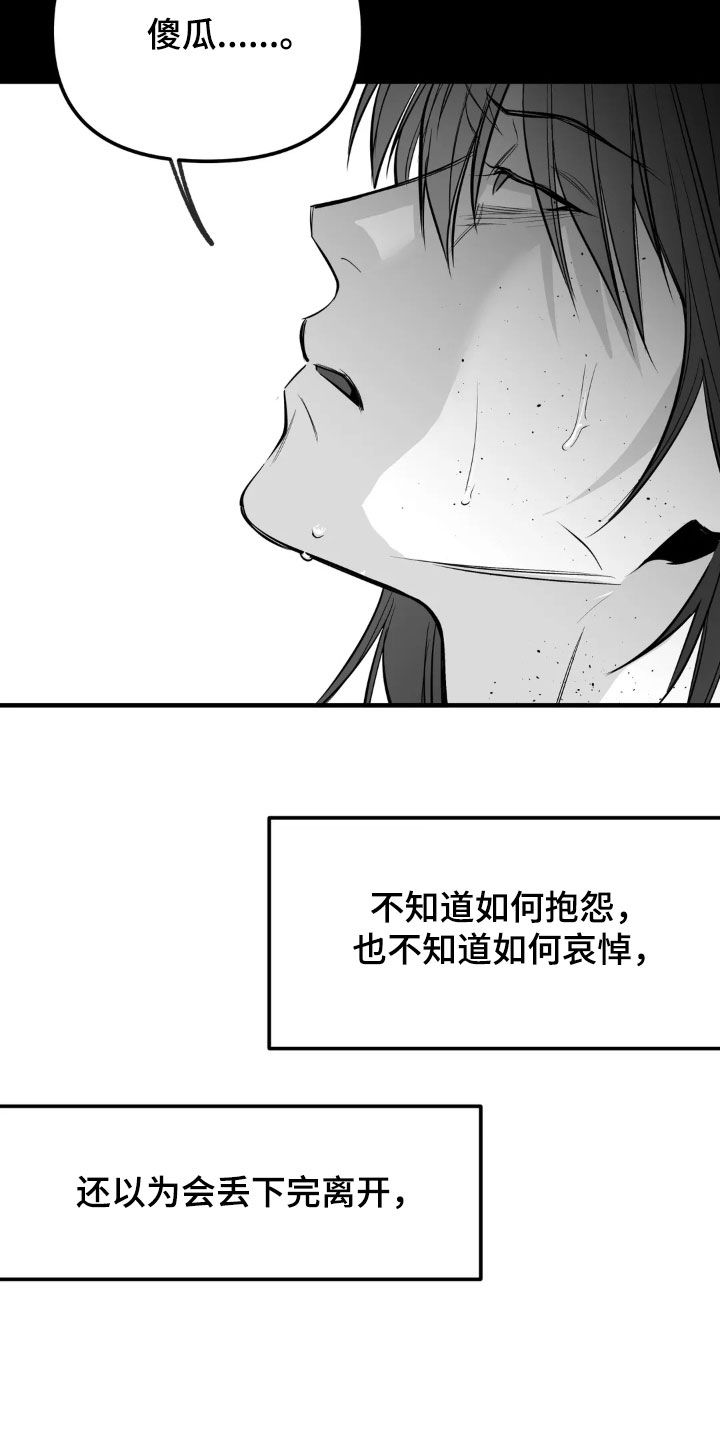 拳击手漫画,第257话2图