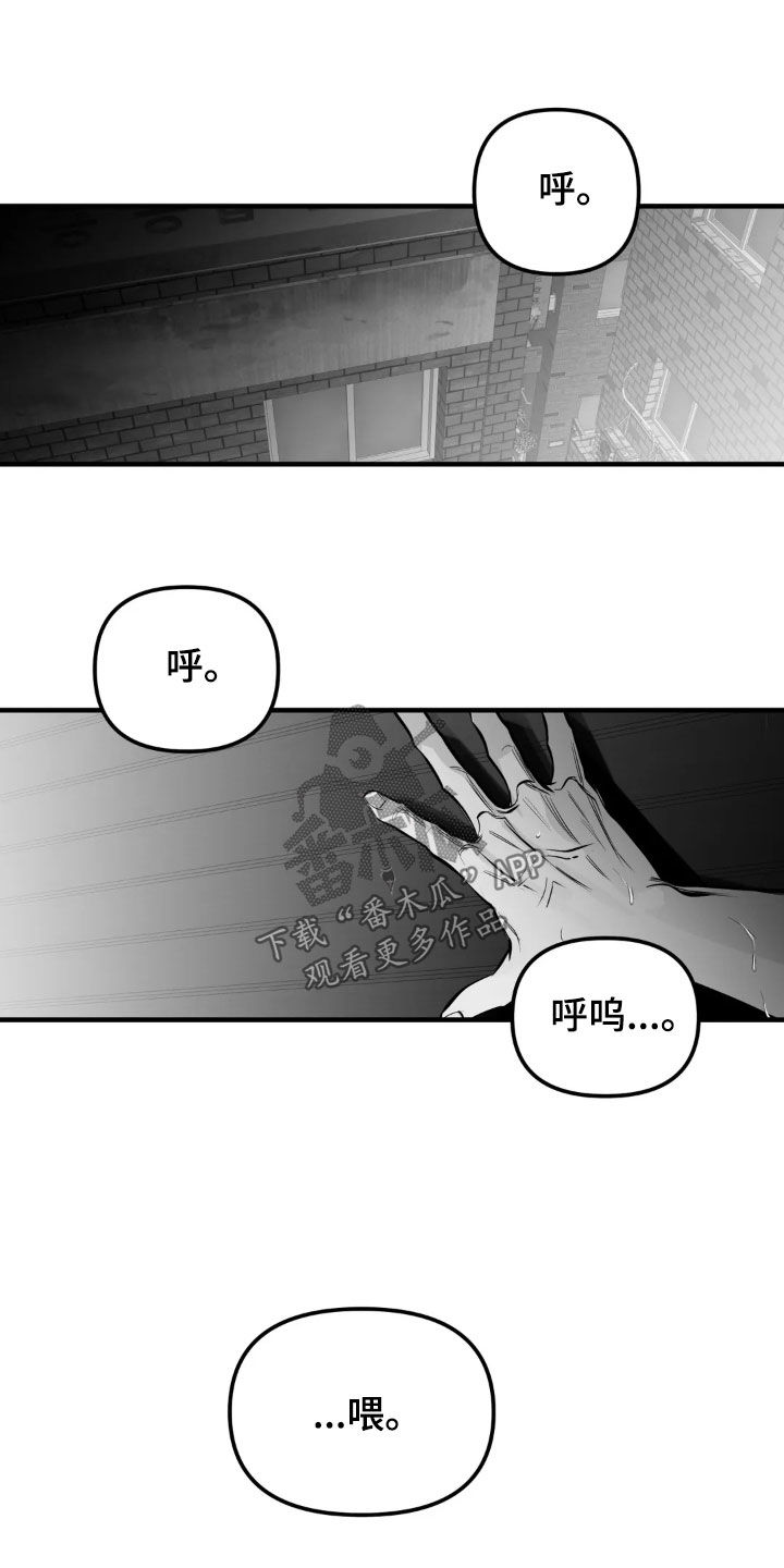 拳击手漫画,第260话1图