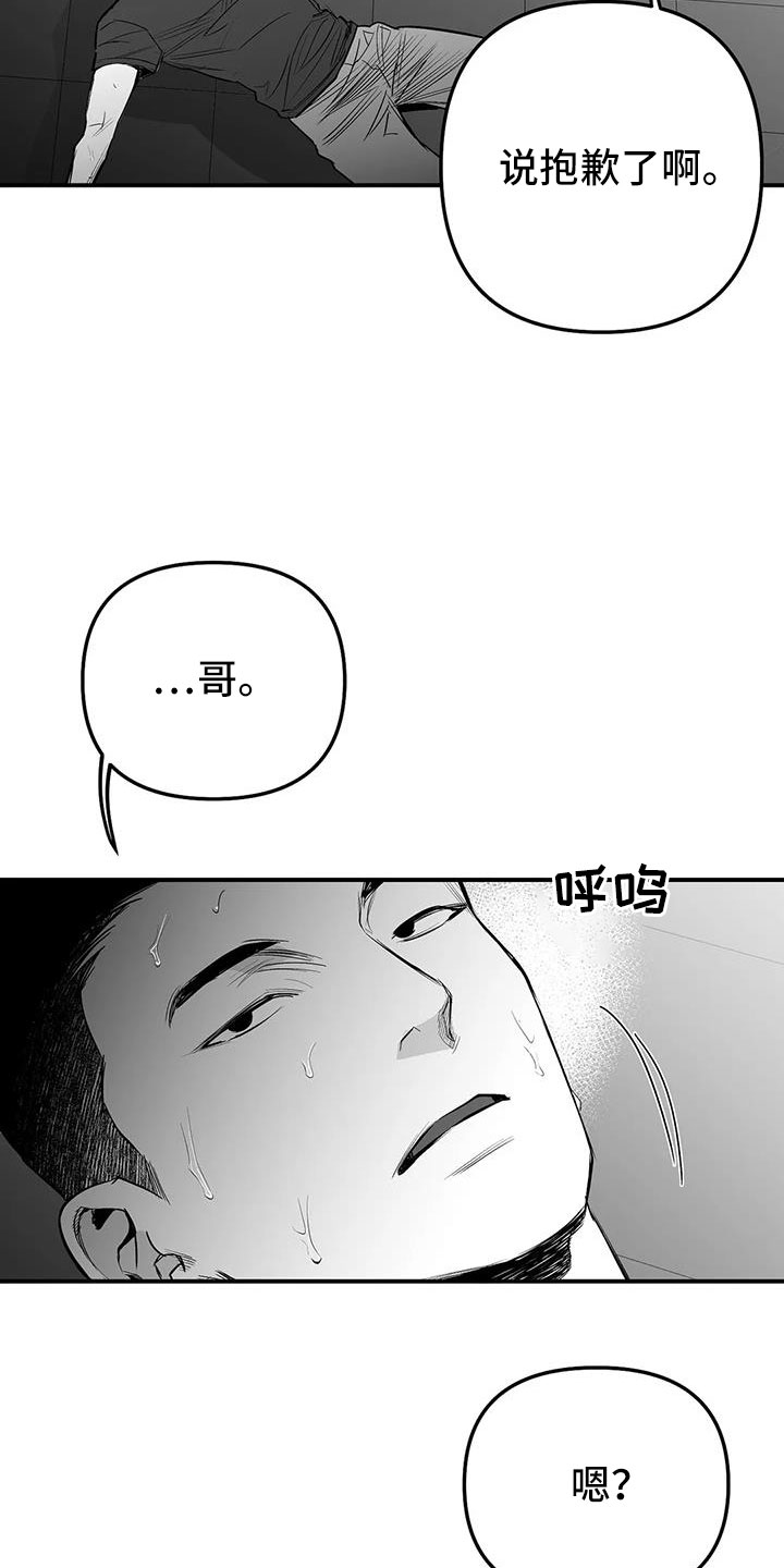 拳击手漫画,第214话1图