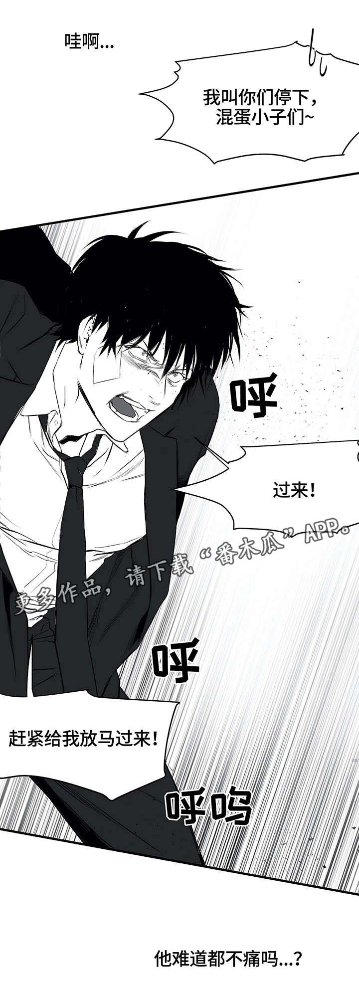 拳击手漫画,第12话1图