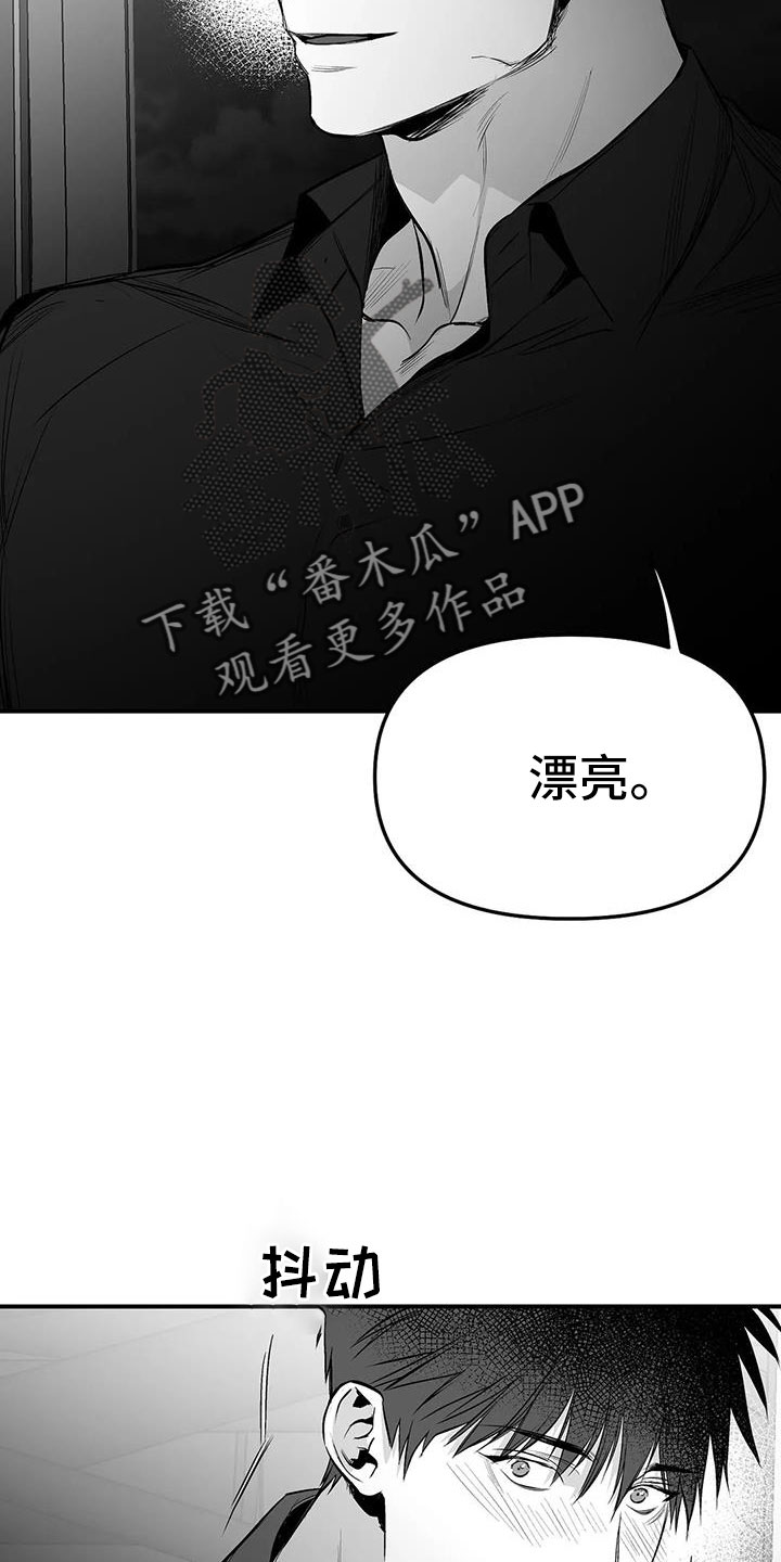 拳击手漫画,第205话1图