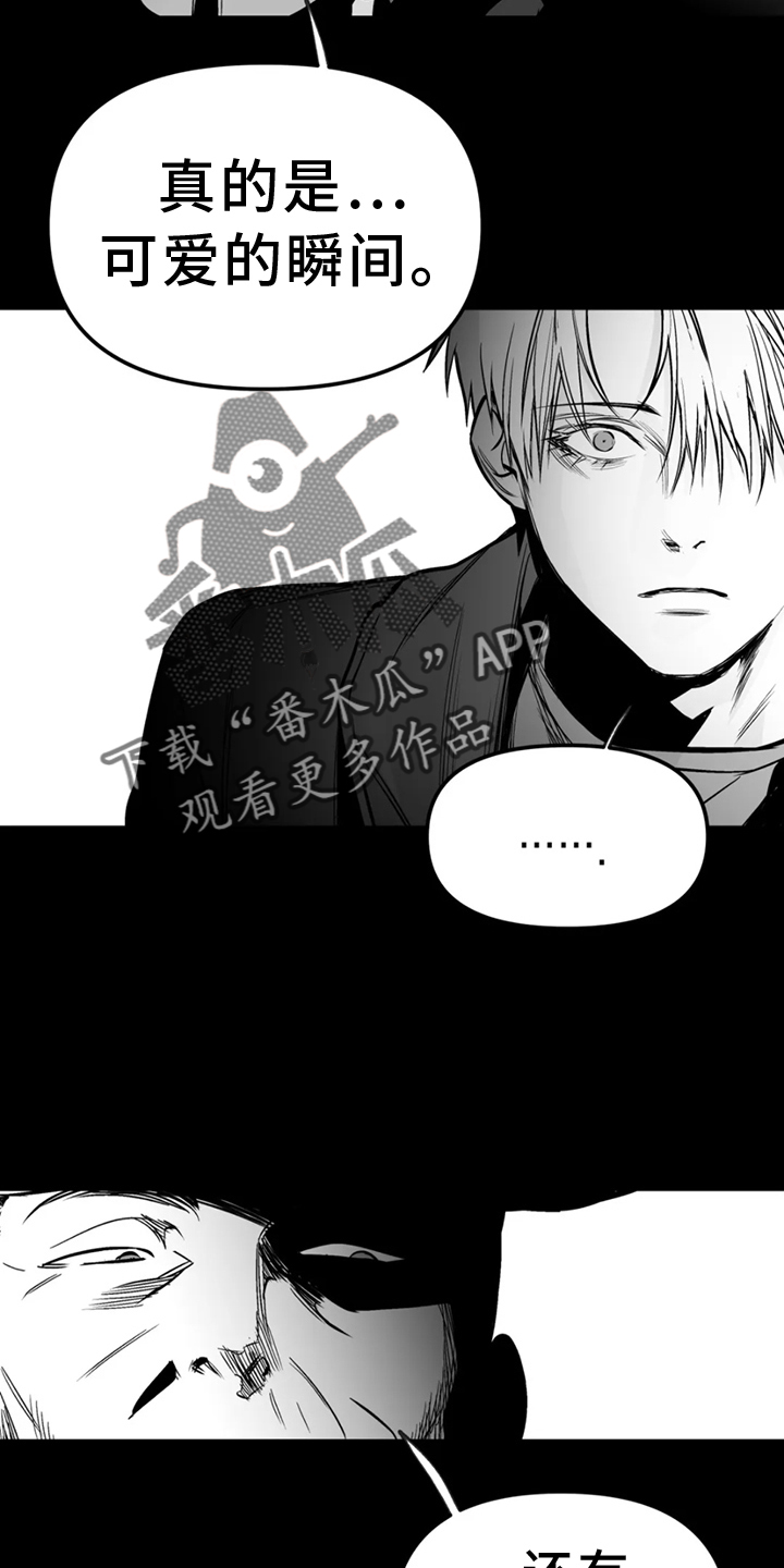拳击手漫画,第249话2图