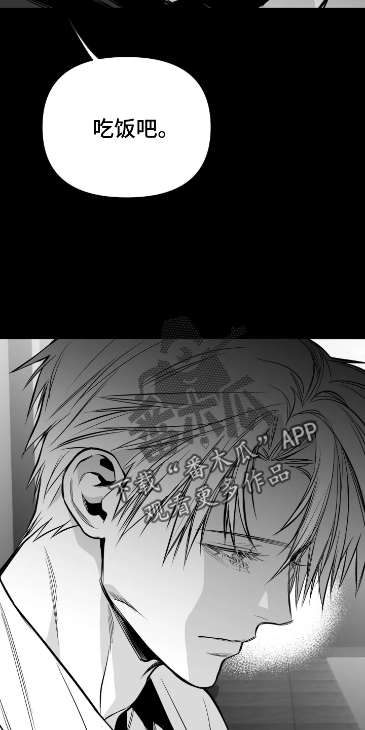 拳击手漫画,第241章：【第三季】和解2图