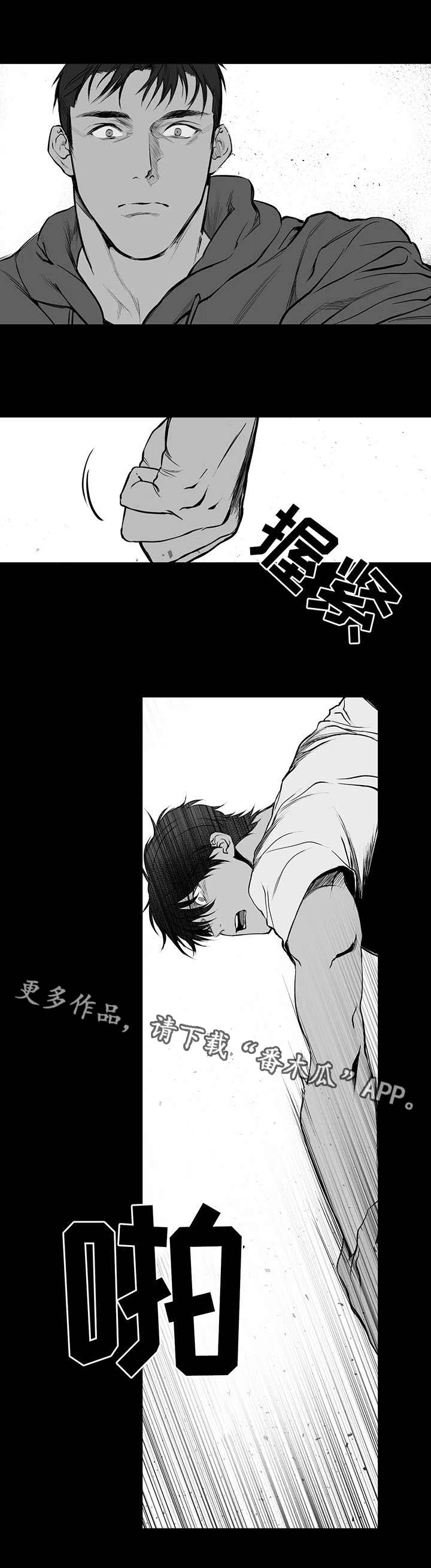 拳击手漫画,第3话1图