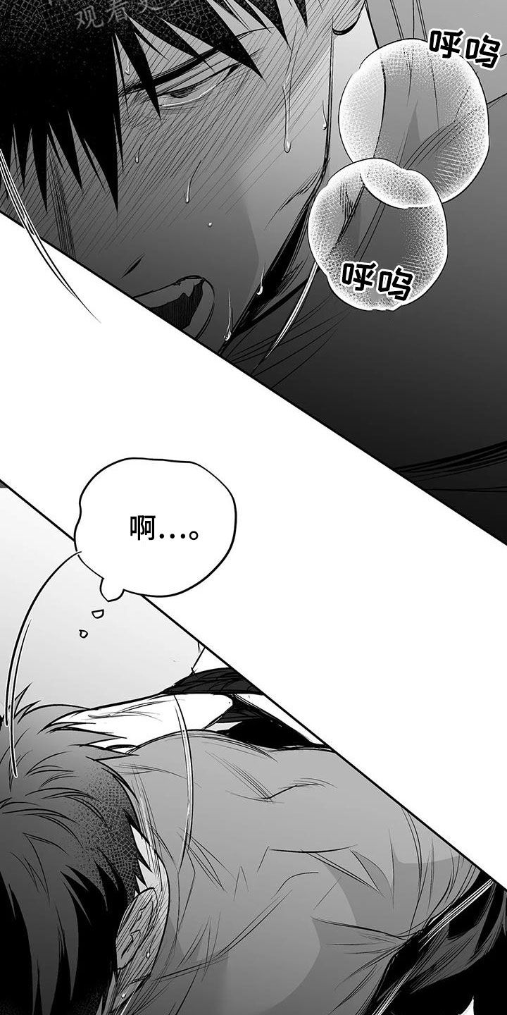 拳击手漫画,第185话1图