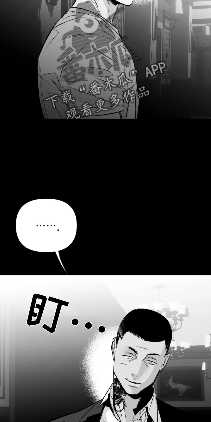 拳击手漫画,第239章：【第三季】眼熟2图