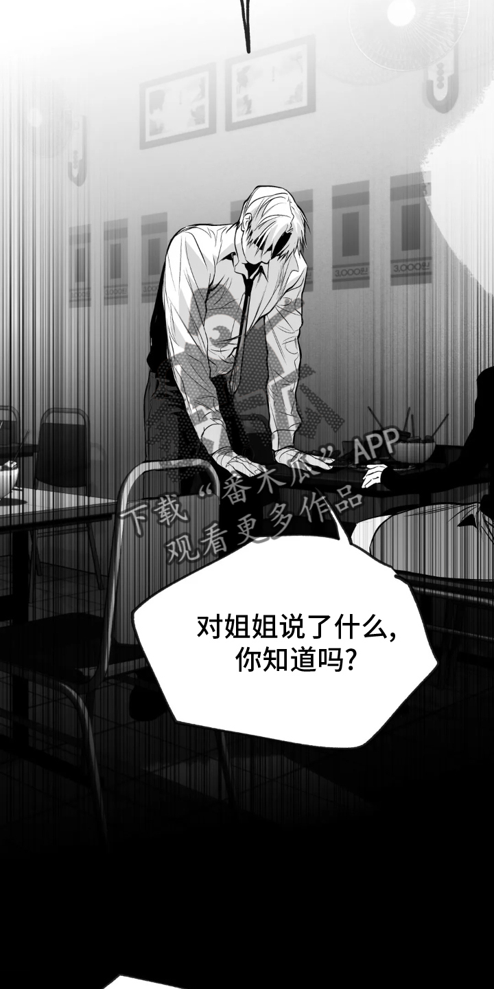 拳击手漫画,第241章：【第三季】和解2图