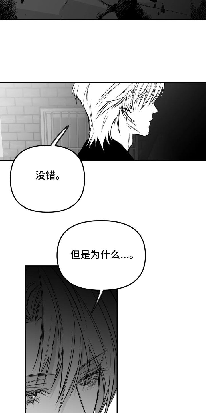 拳击手漫画,第257话1图