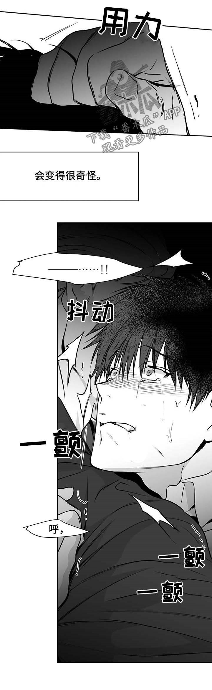 拳击手漫画,第69话1图