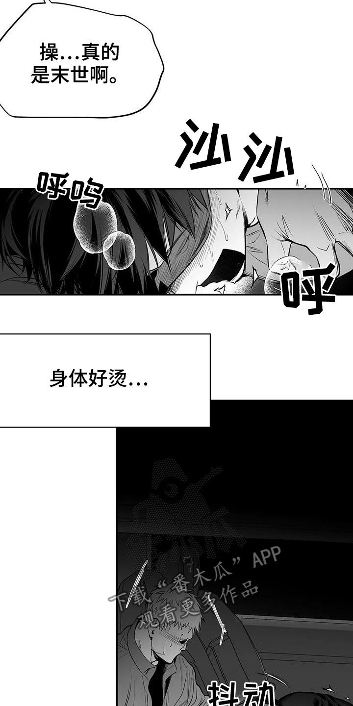 拳击手漫画,第184话1图