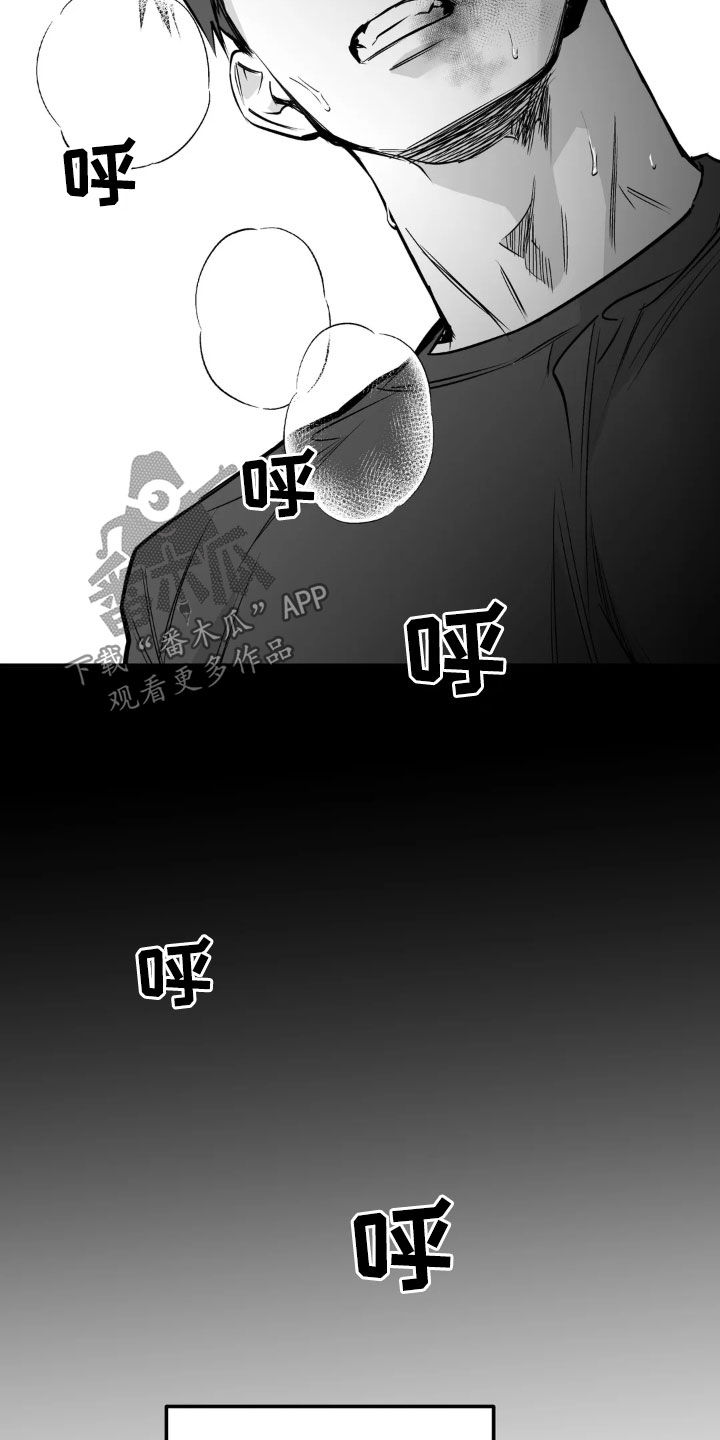 拳击手漫画,第255话2图