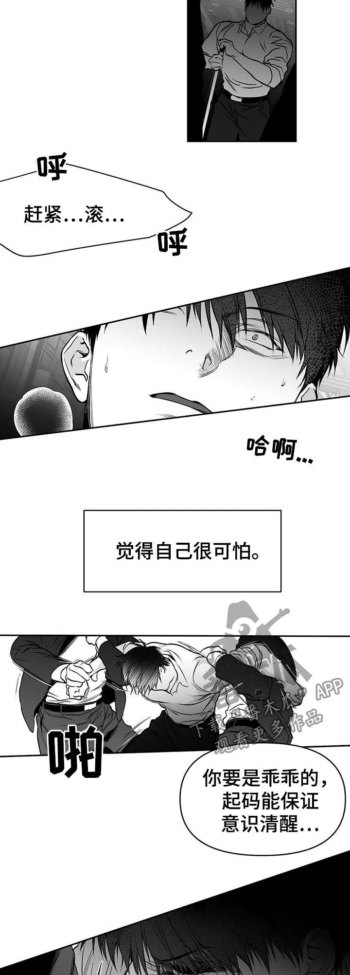 拳击手漫画,第85话1图