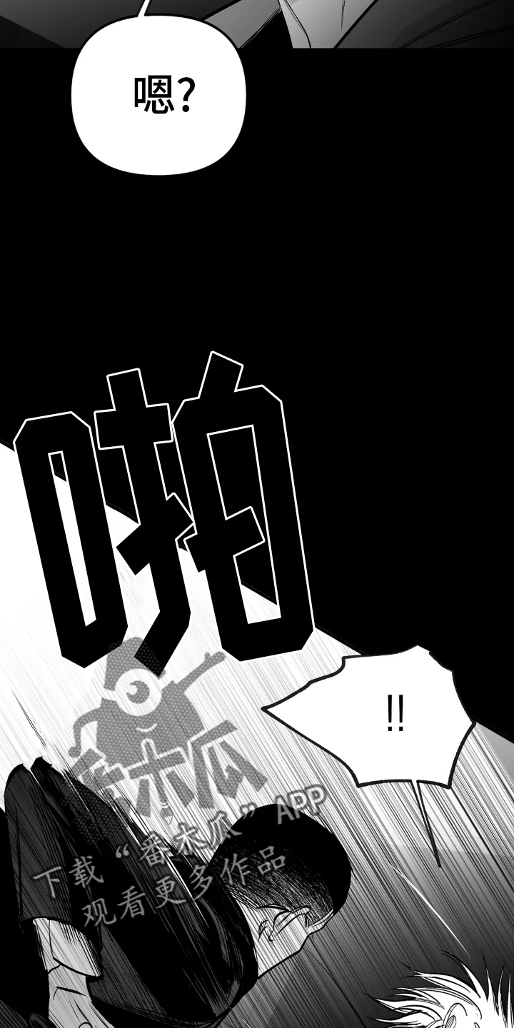 拳击手漫画,第245章：【第三季】偶尔2图