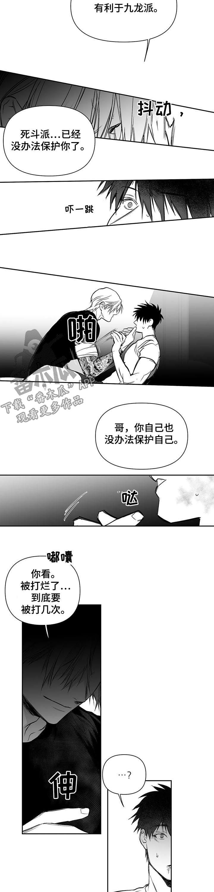 拳击手漫画,第126话2图