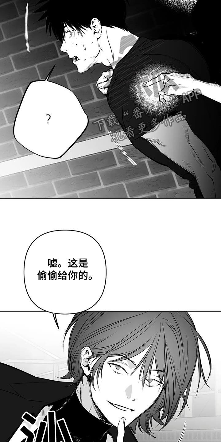 拳击手漫画,第169话2图