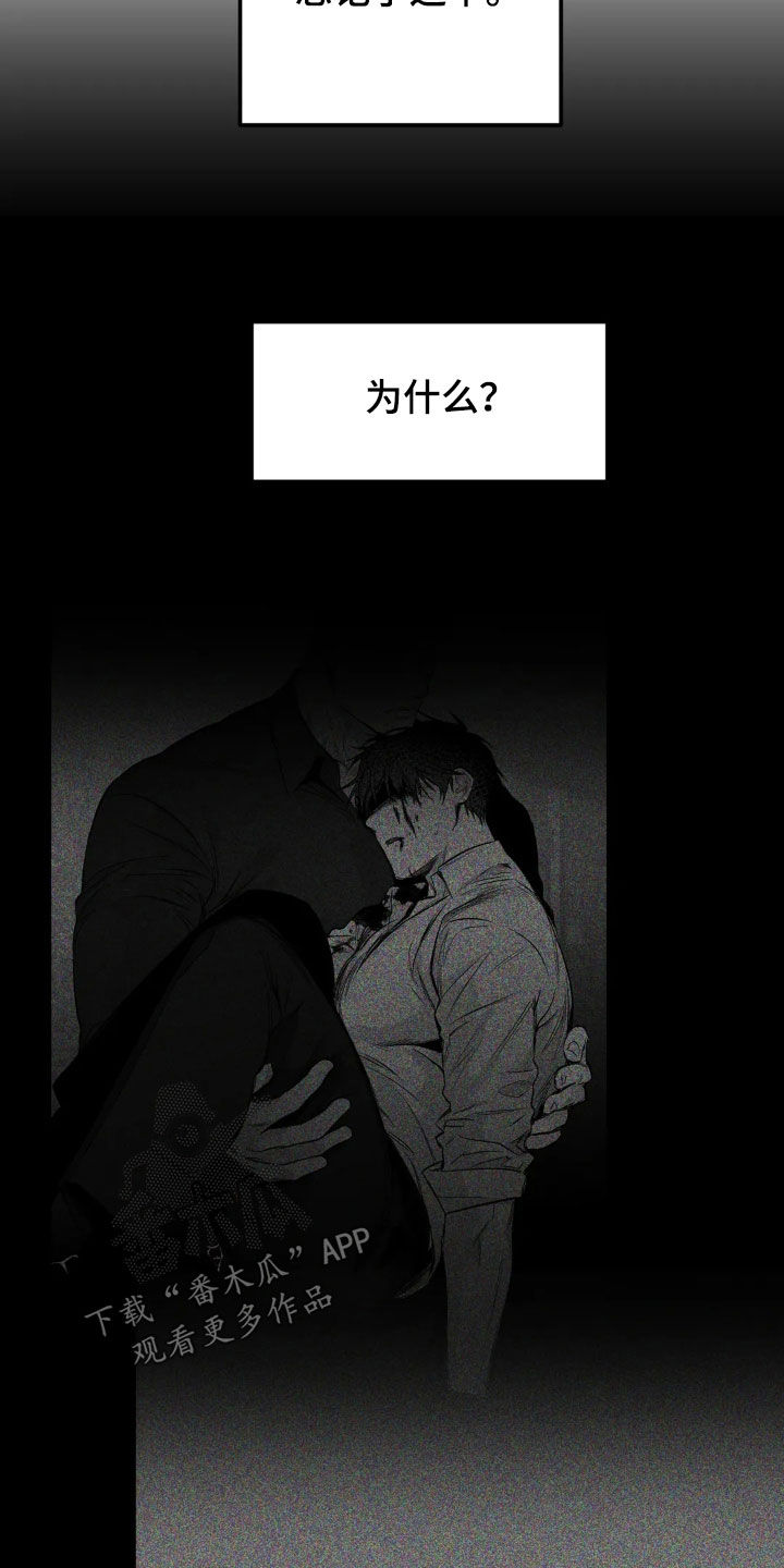 拳击手漫画,第253话2图