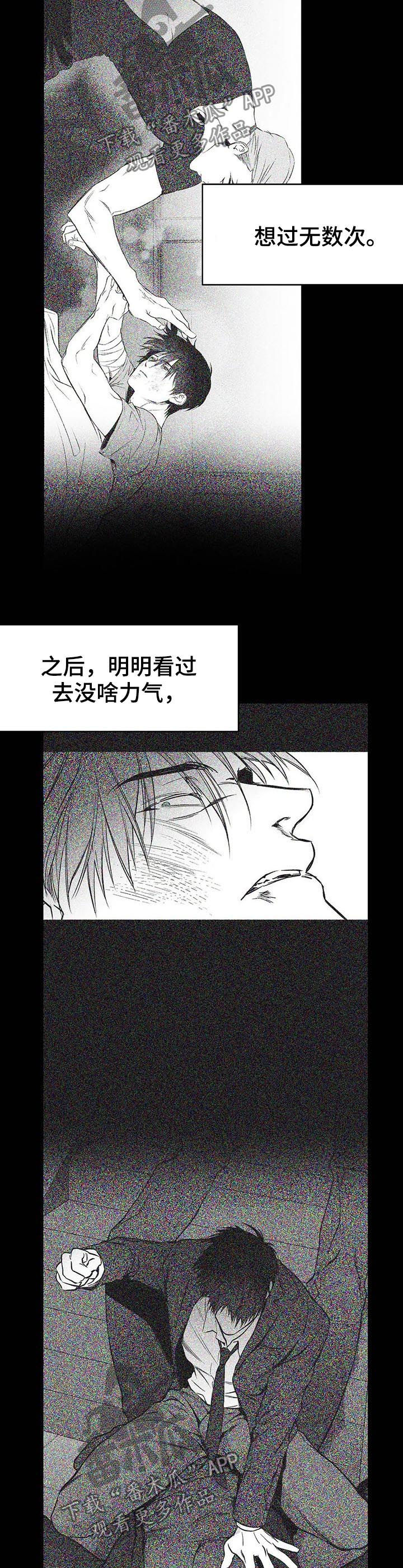拳击手漫画,第84话1图