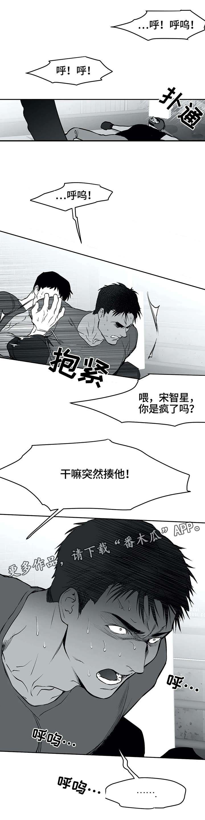 拳击手漫画,第29话1图
