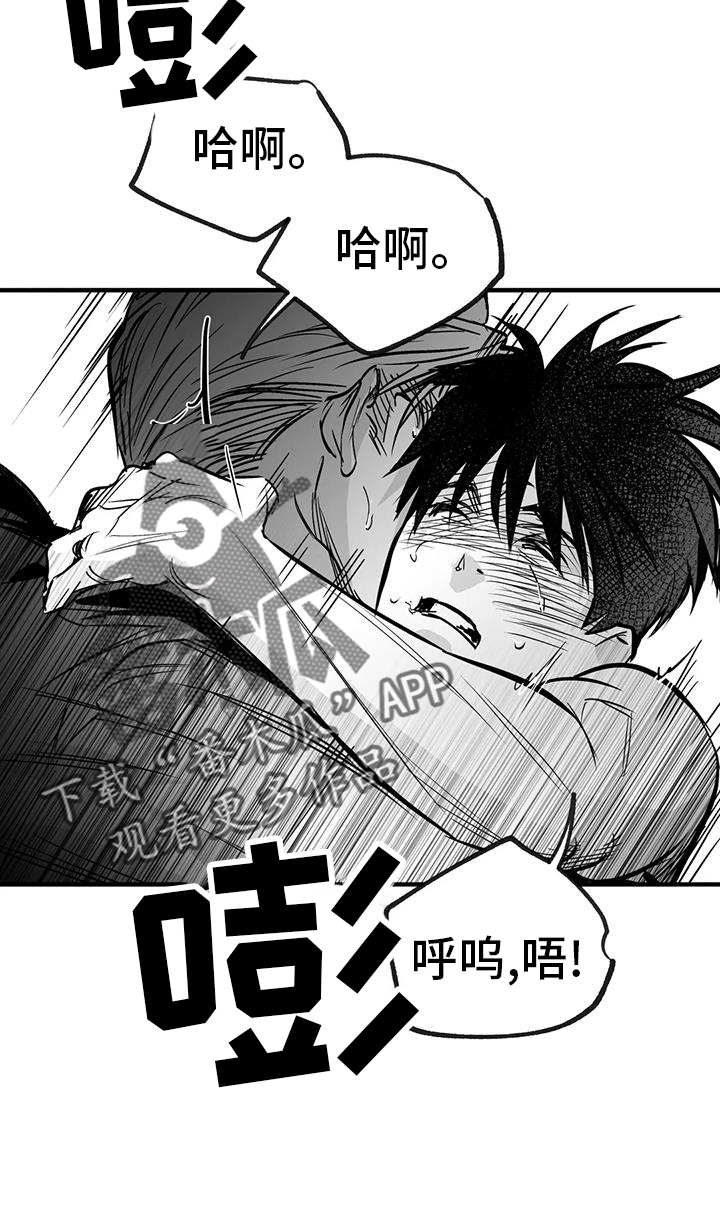 拳击手漫画,第237话2图