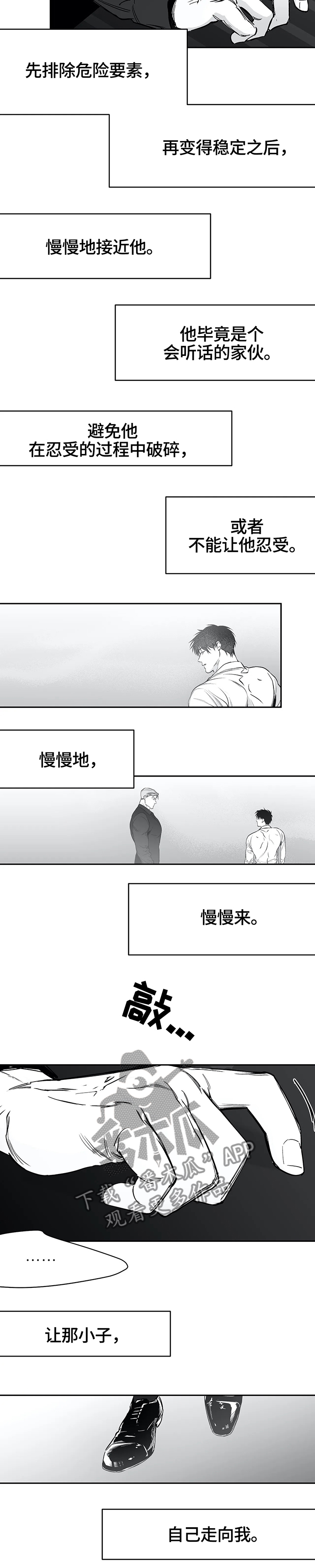 拳击手漫画,第52话1图