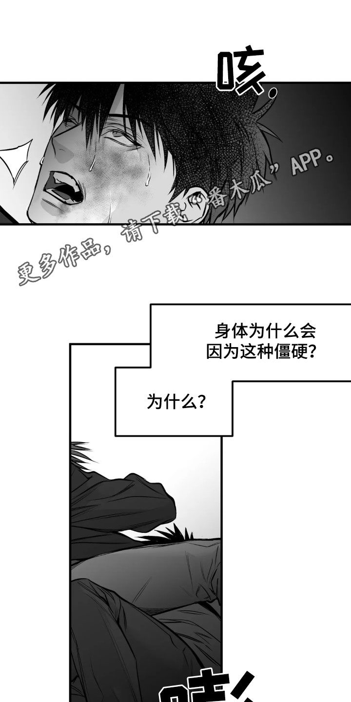 拳击手漫画,第255话1图