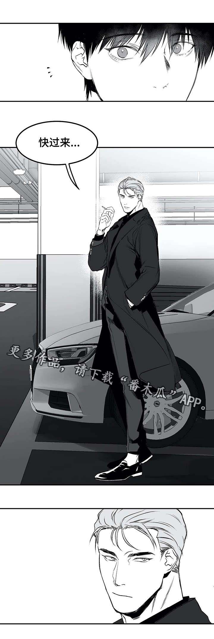 拳击手漫画,第19话1图