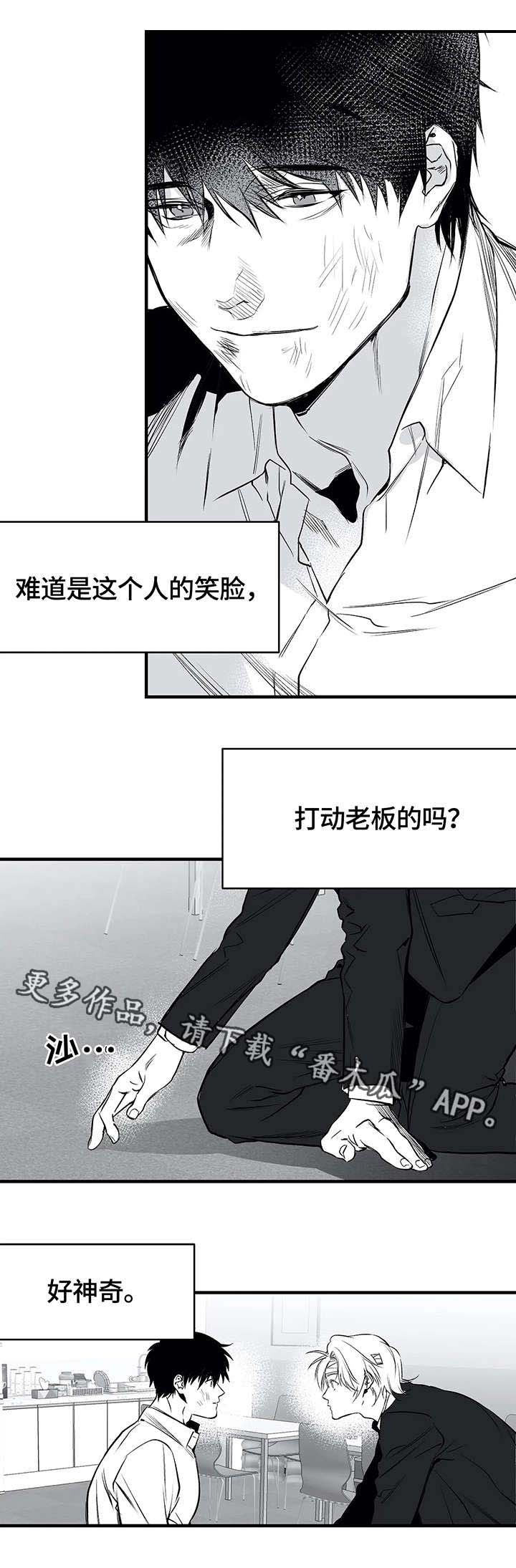 拳击手漫画,第14话1图
