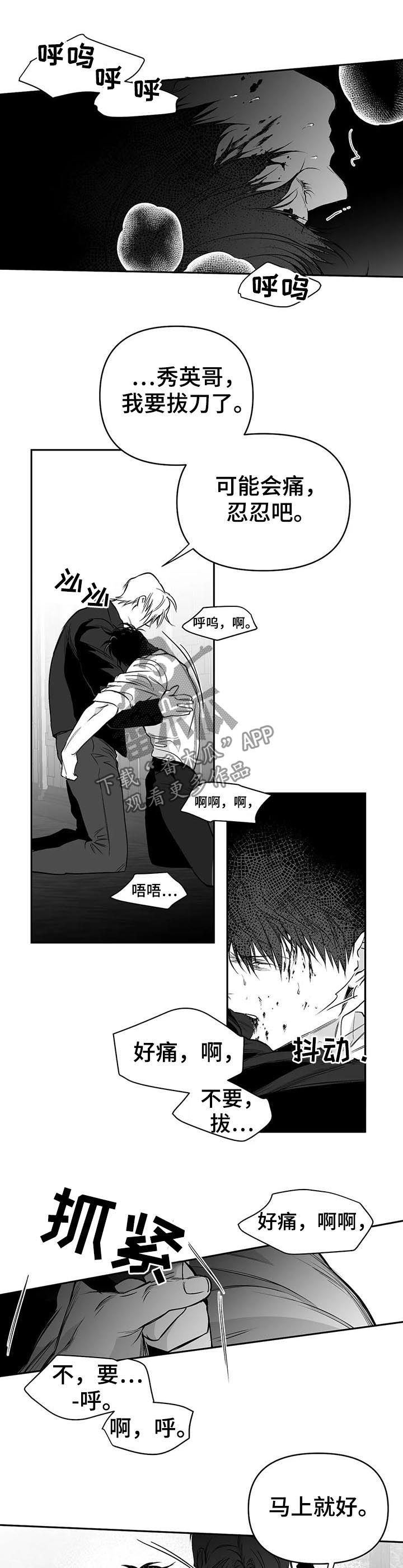 拳击手漫画,第87话1图