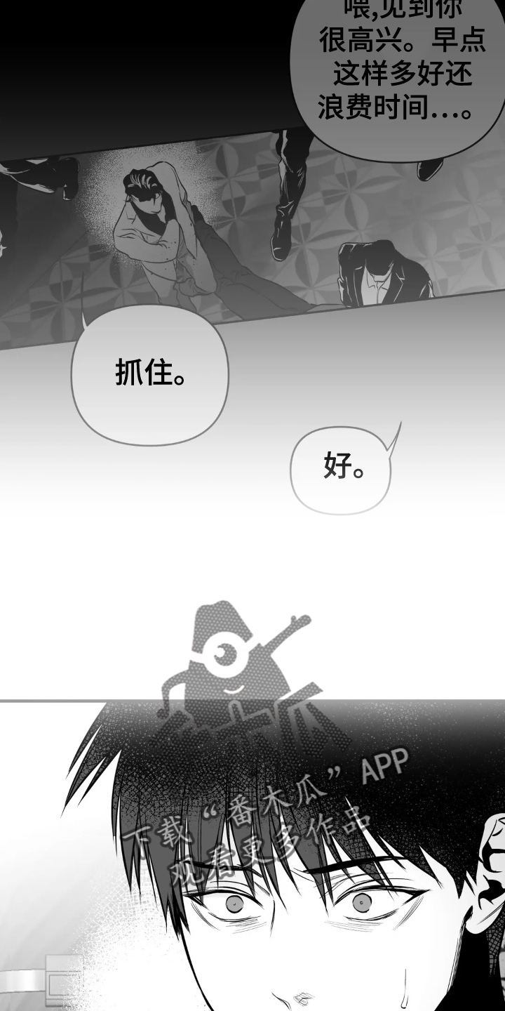 拳击手漫画,第252话2图