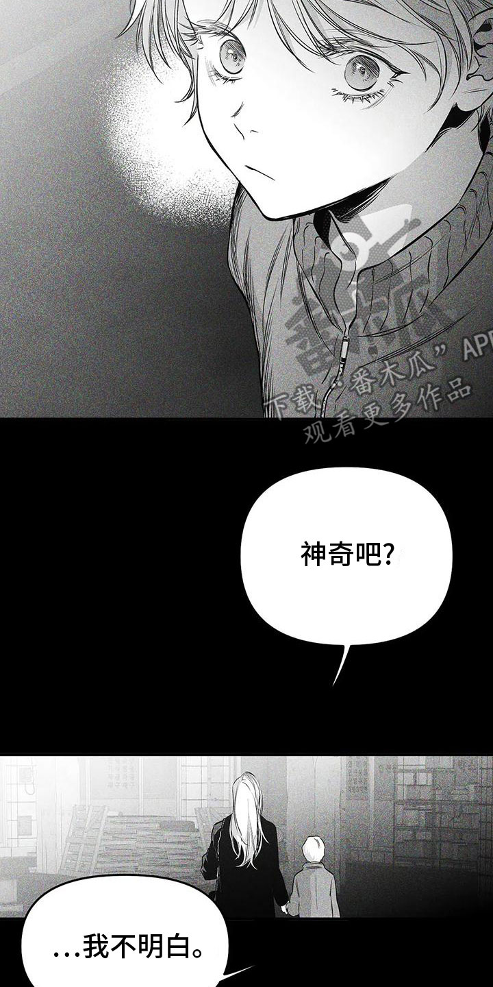 拳击手漫画,第196话1图