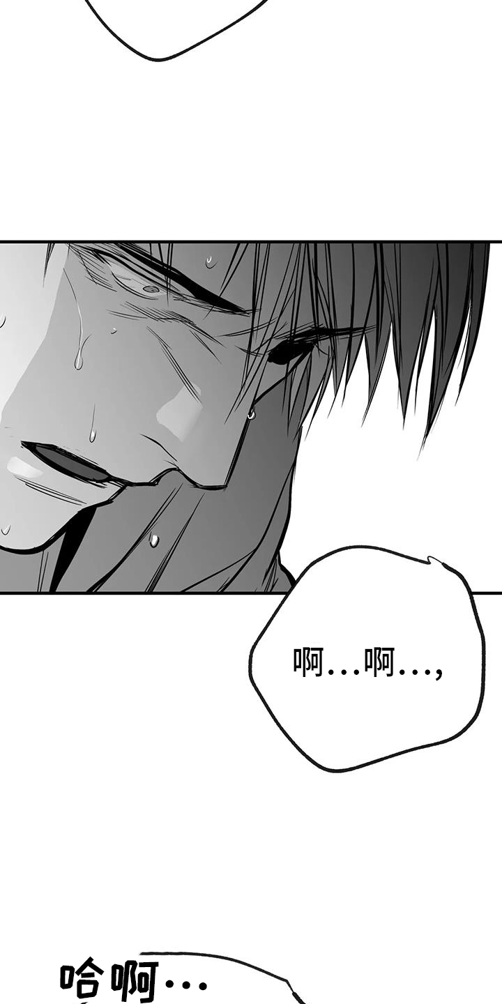 拳击手漫画,第237话1图