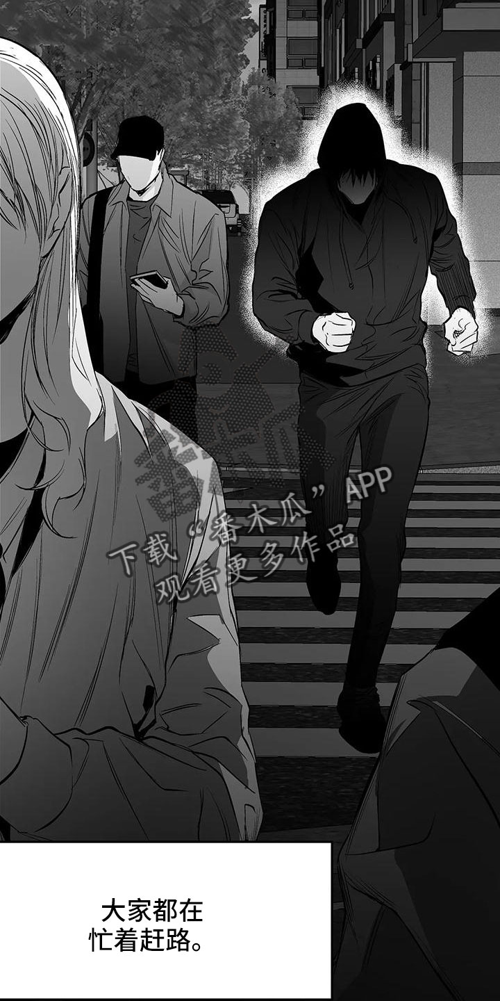 拳击手漫画,第201话1图