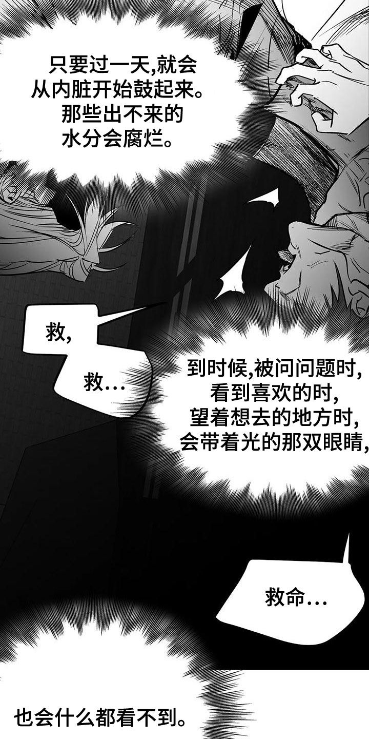 拳击手漫画,第194话1图