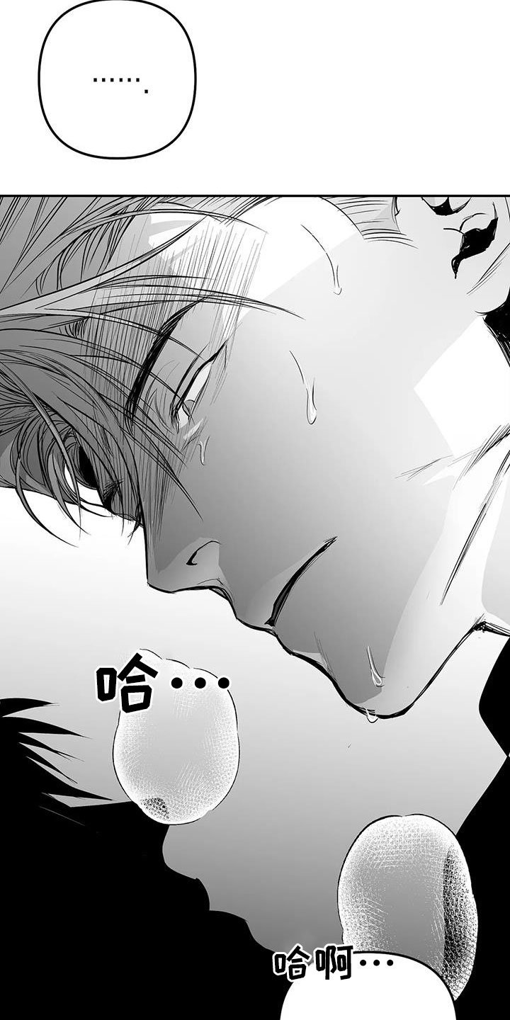 拳击手漫画,第208话2图