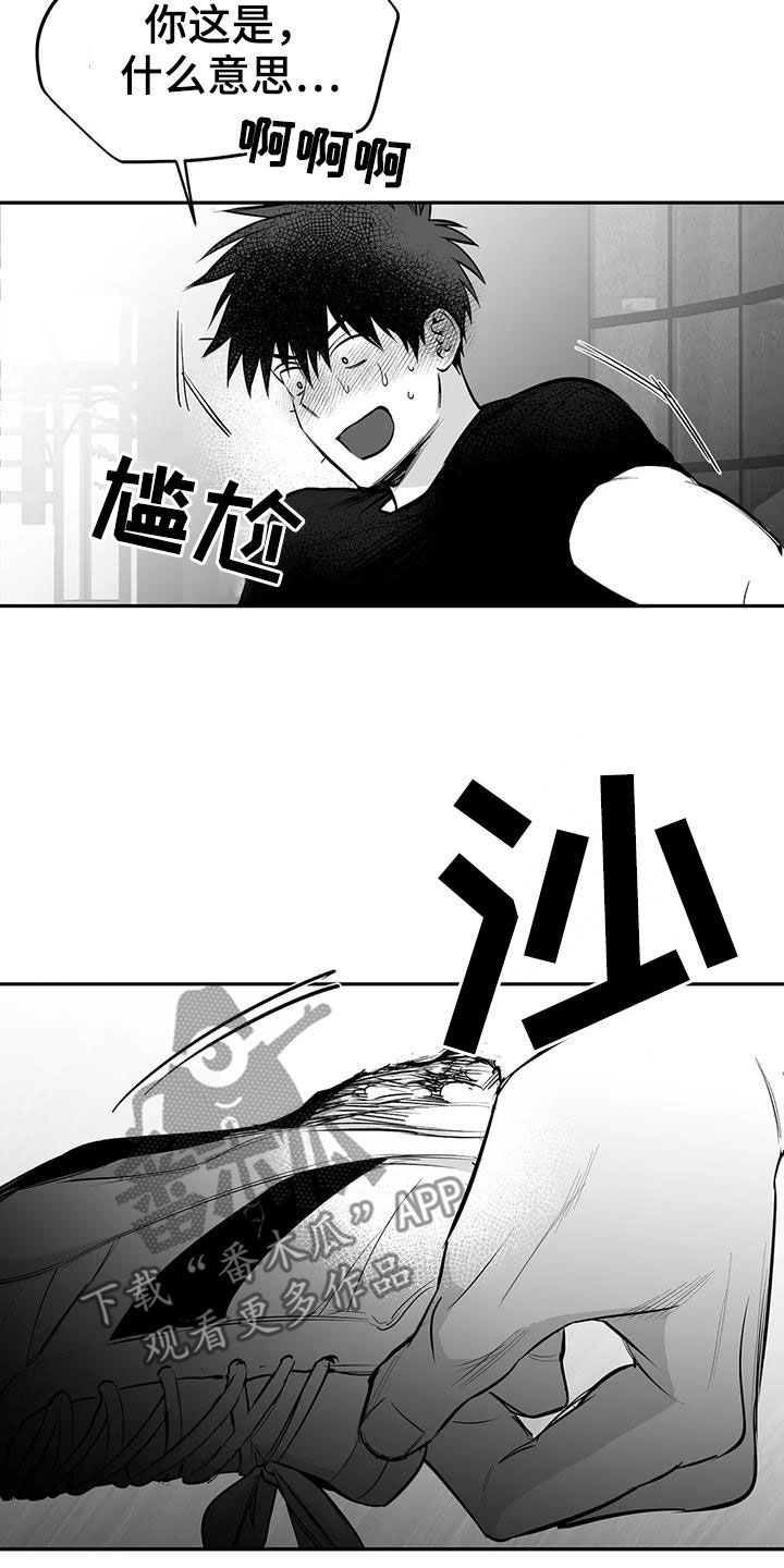 拳击手漫画,第176话1图