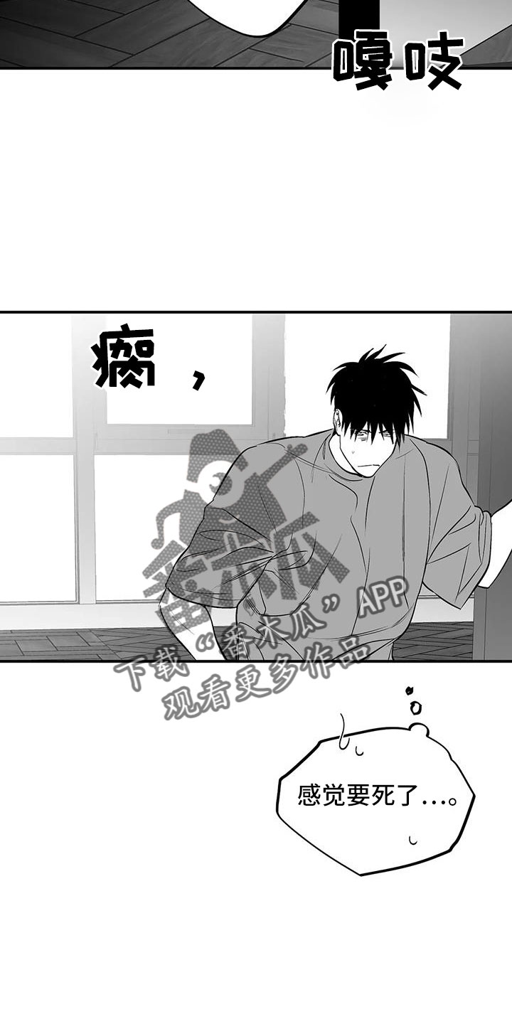 拳击手漫画,第209话1图