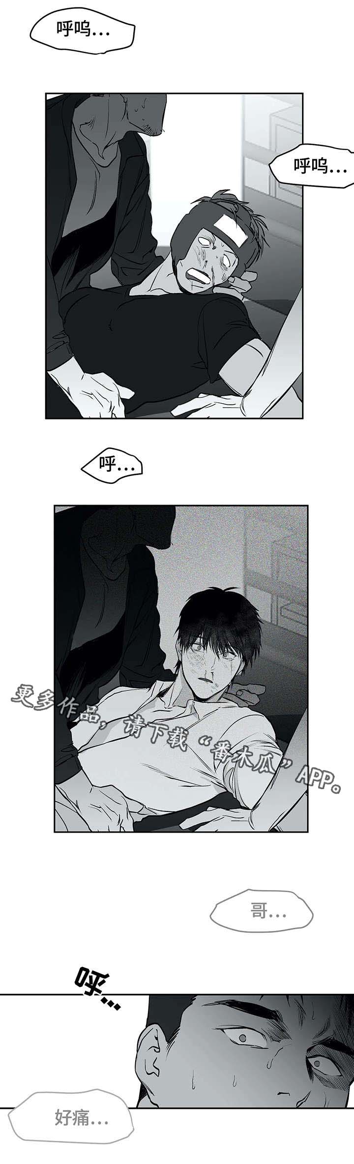 拳击手漫画,第29话1图