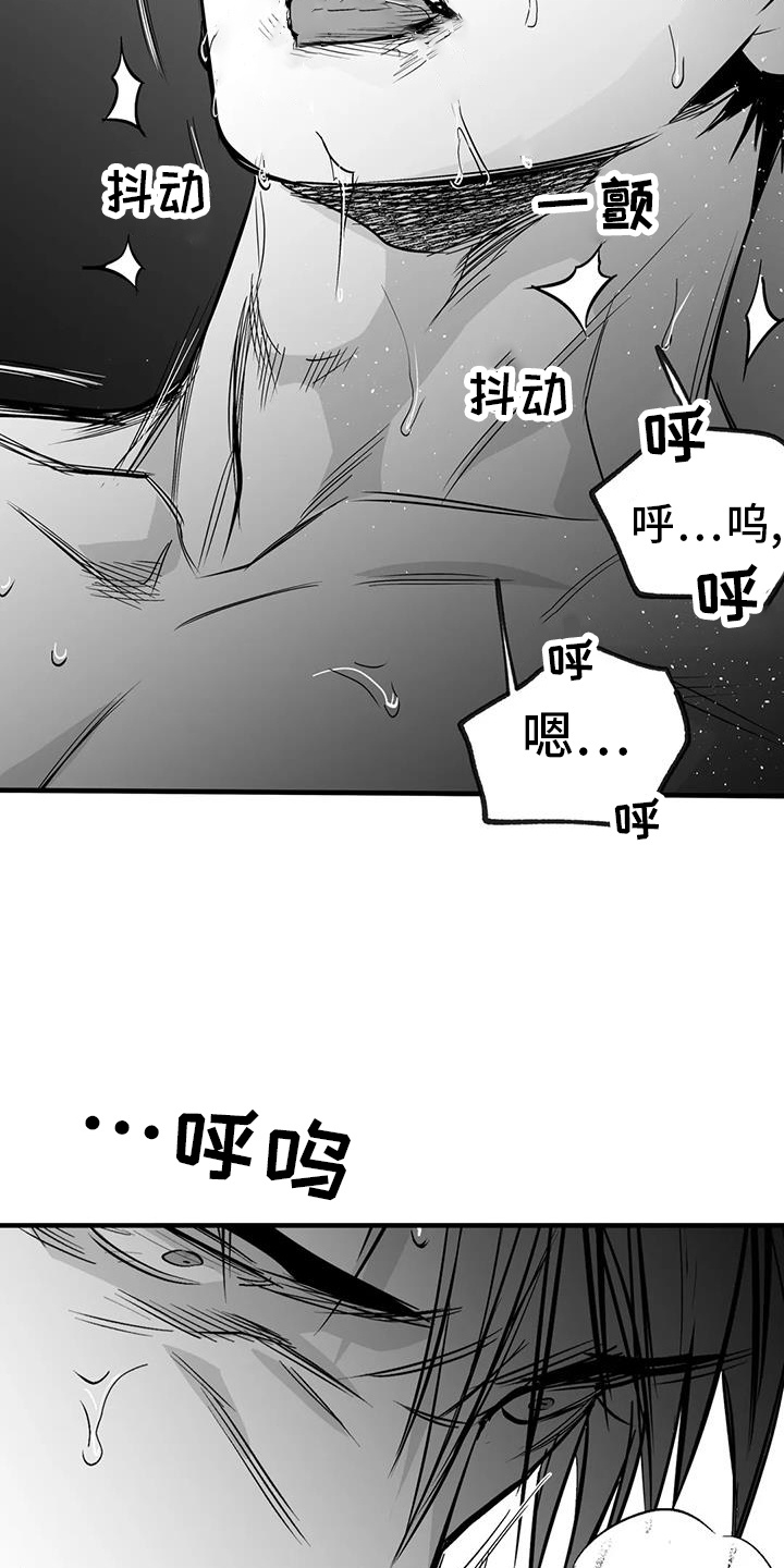 拳击手漫画,第237话1图
