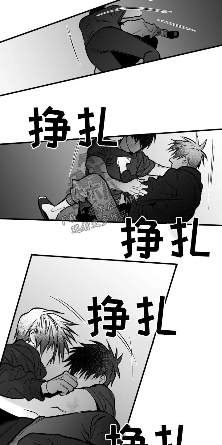 拳击手漫画,第254话1图